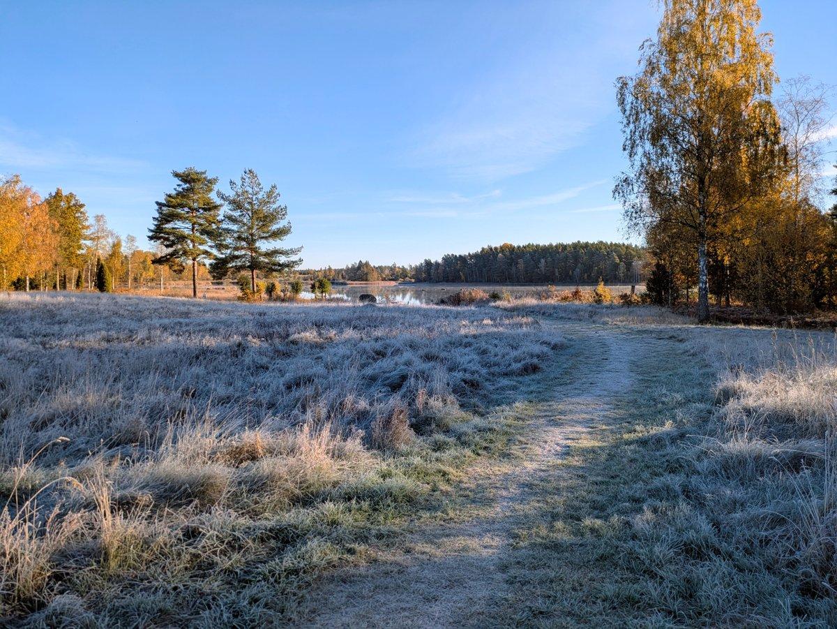 Wandelpad door een berijpt veld naar een stil meer in de herfstzon